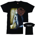 Evanescence Open Door